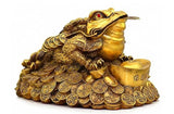 Feng Shui Money Frog. Big Fat 3 Legged Toad Golden